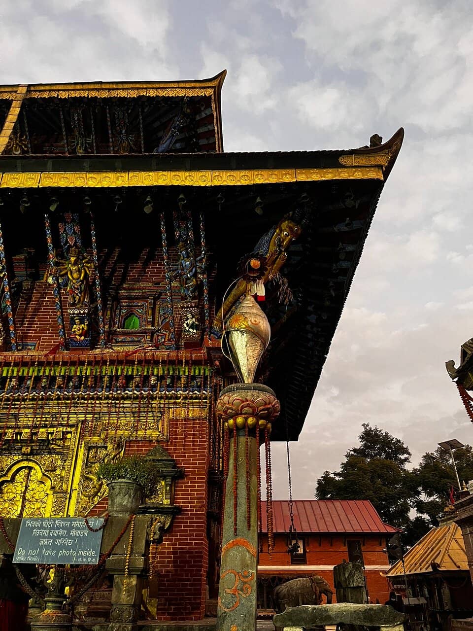 Lush Green Surroundings