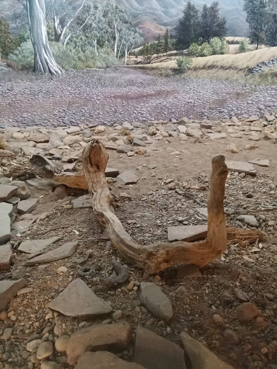 Highlights