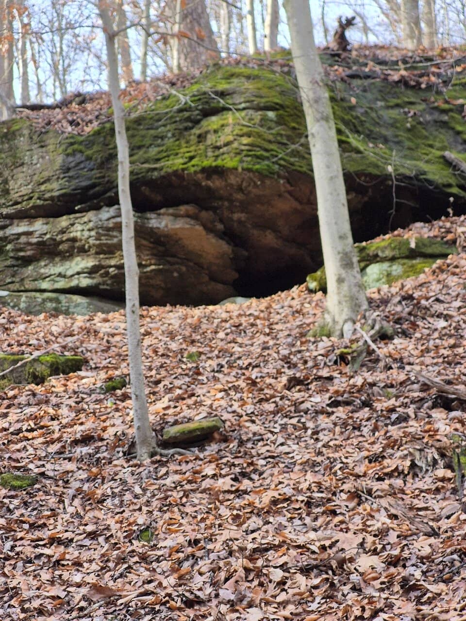 Biking Trails with Jumps