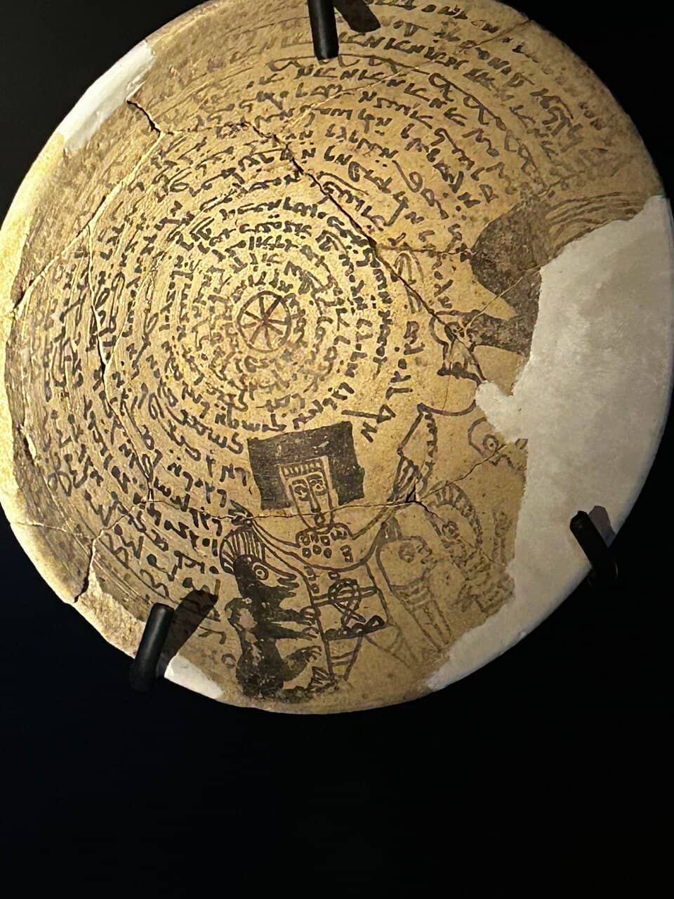 Vast Collection of Books