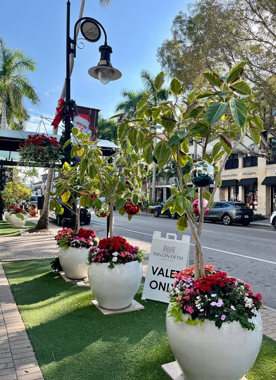 Chic Boutiques & Designer Shops