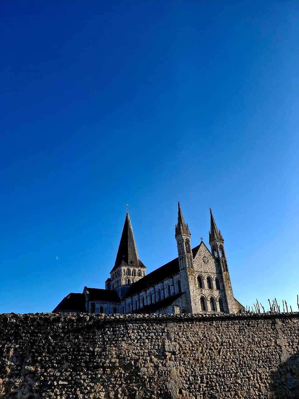 Tranquil Formal Gardens