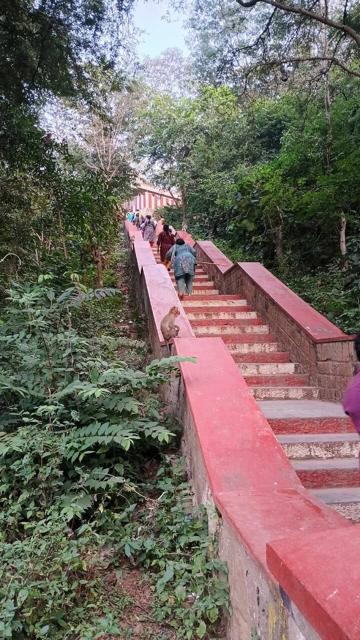 Vertical photo