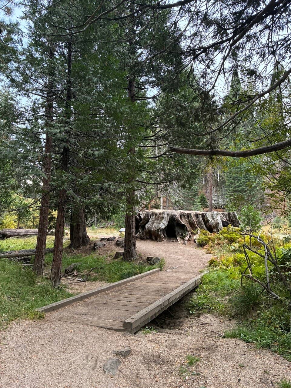 The "Church-like" Meadow