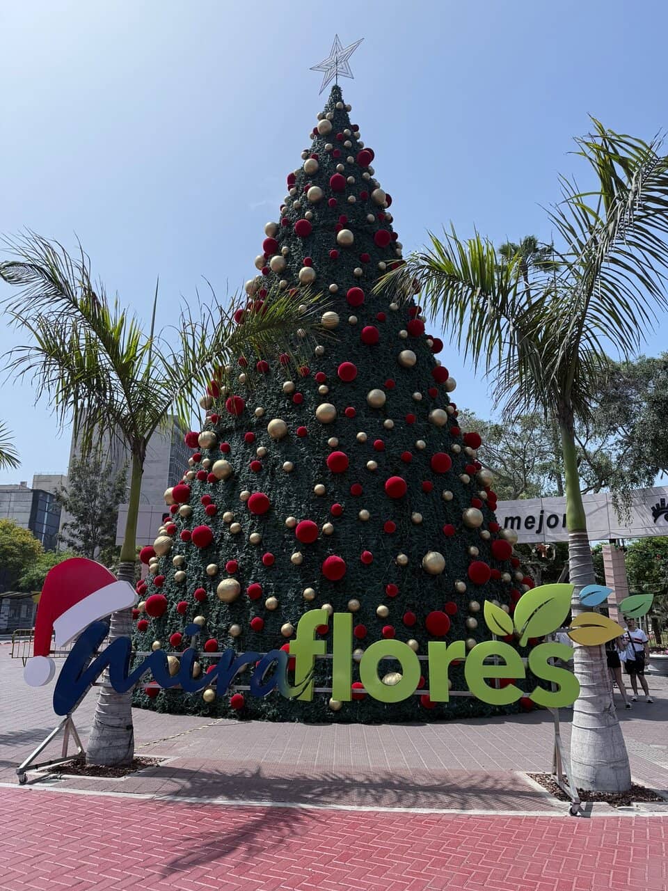 Medieval Festival (Seasonal)