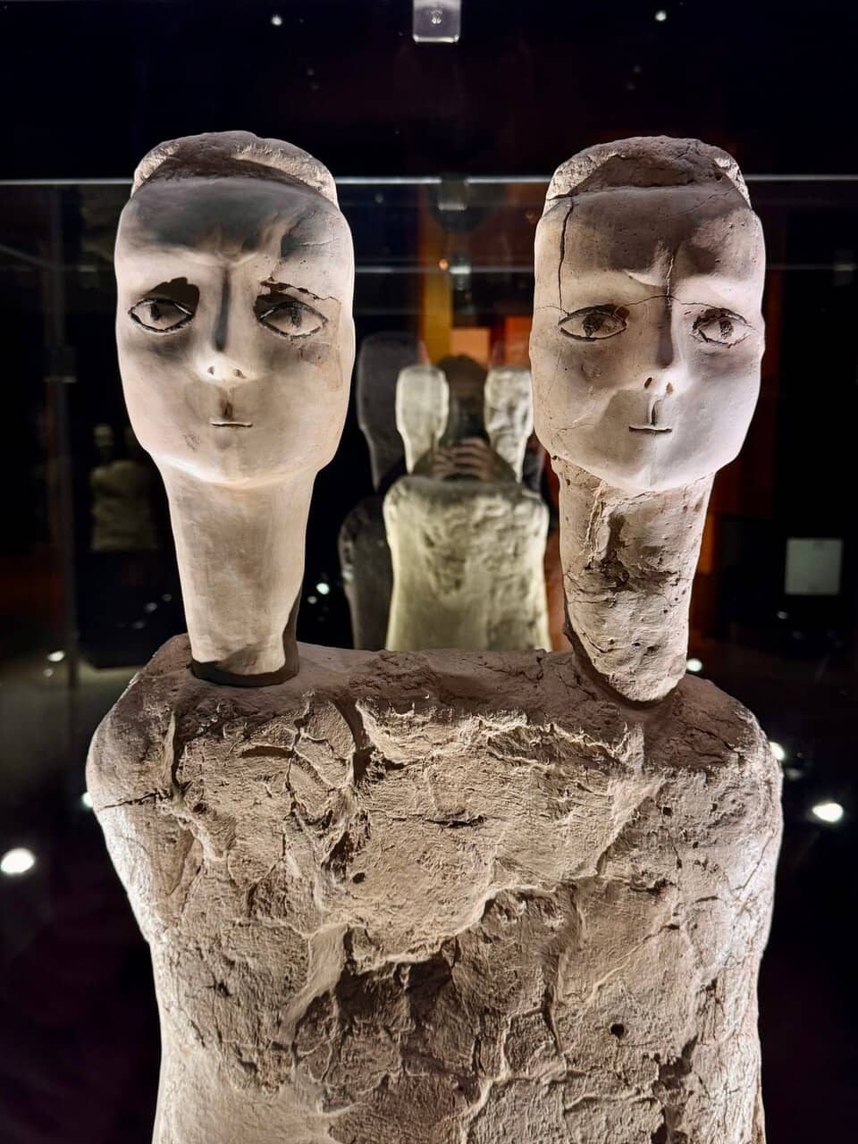 Islamic Contributions to Science