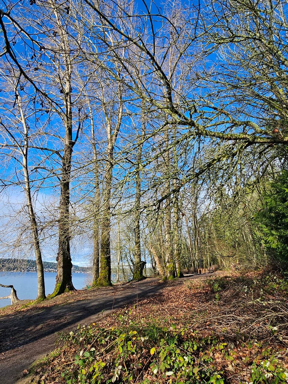 Playground & Picnic Areas