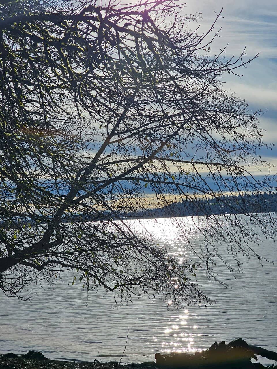 Nature Trails