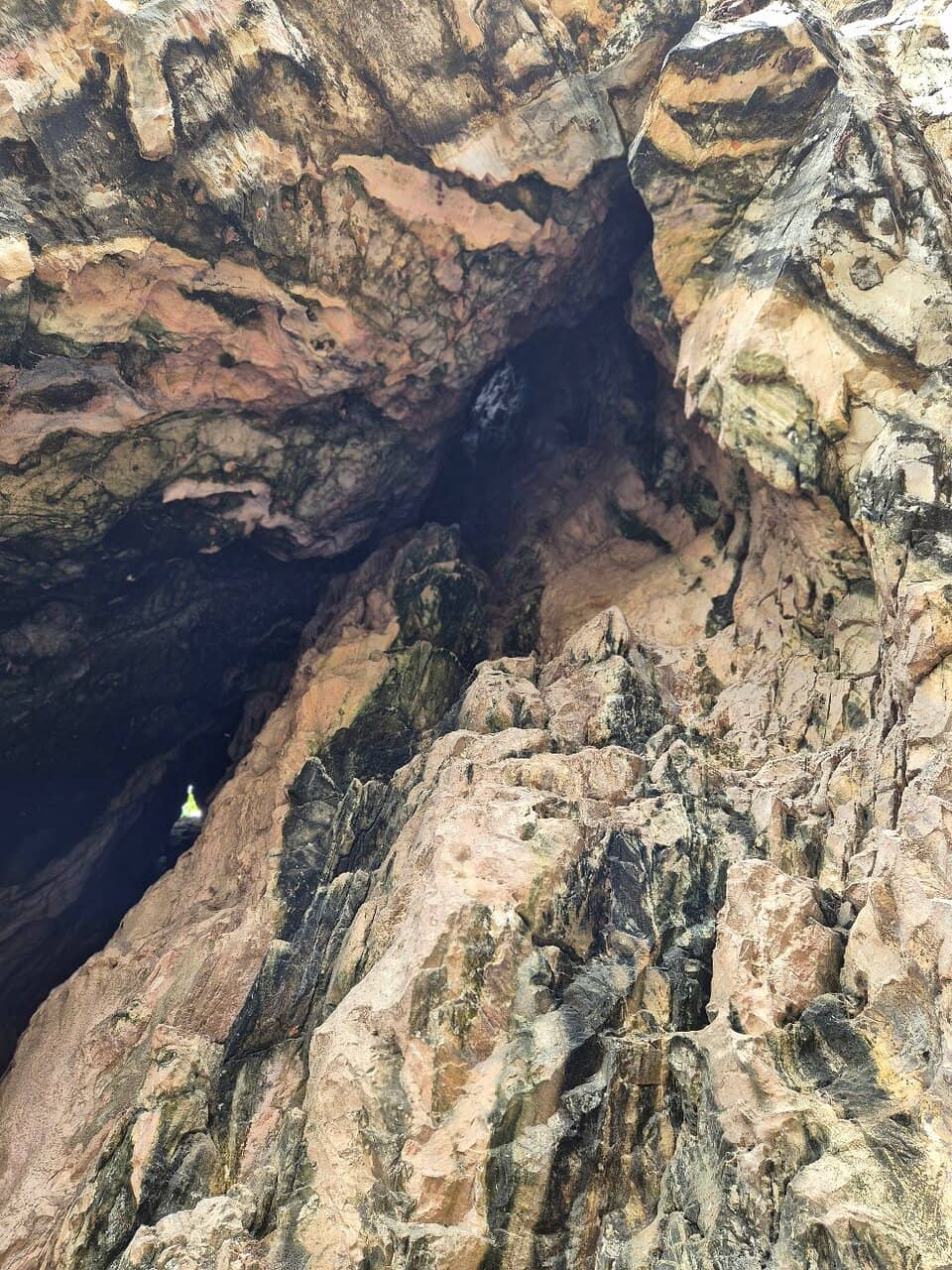 Vertical photo