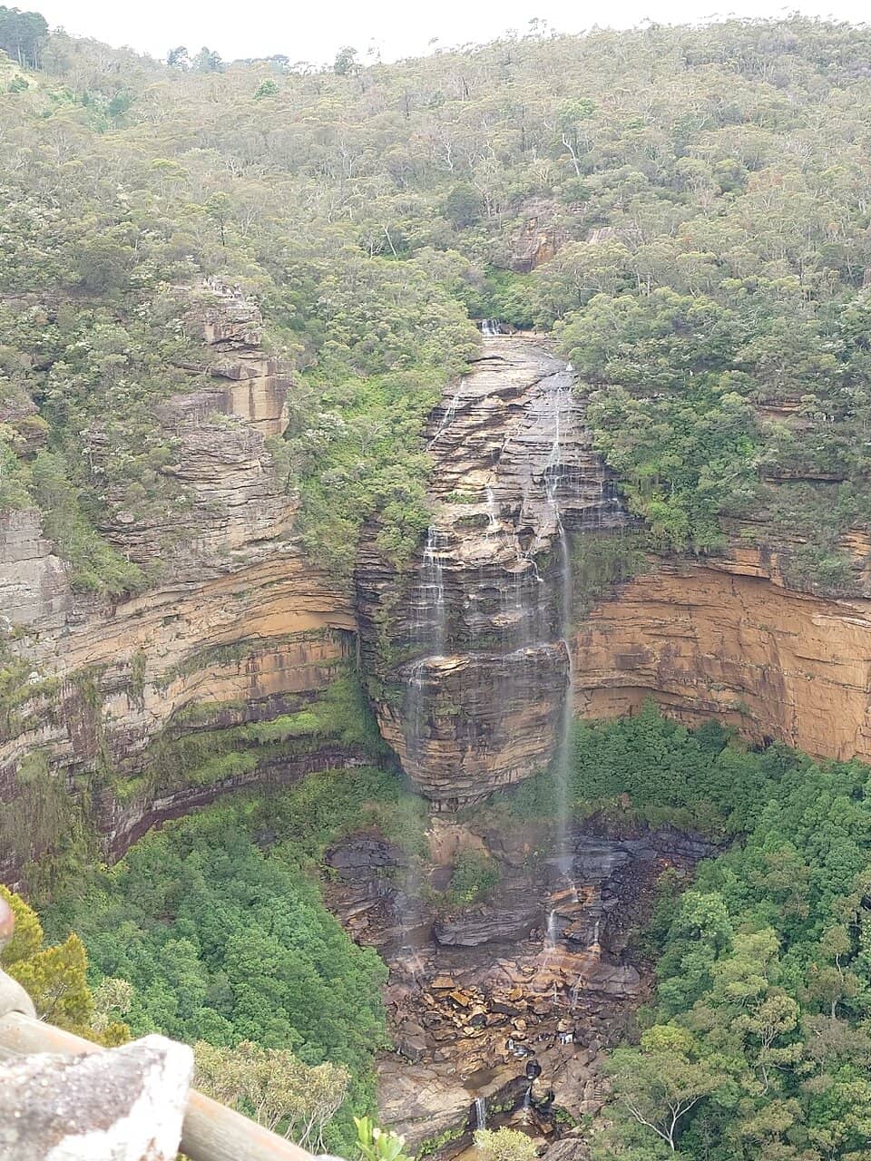 Den Fenella Walking Track