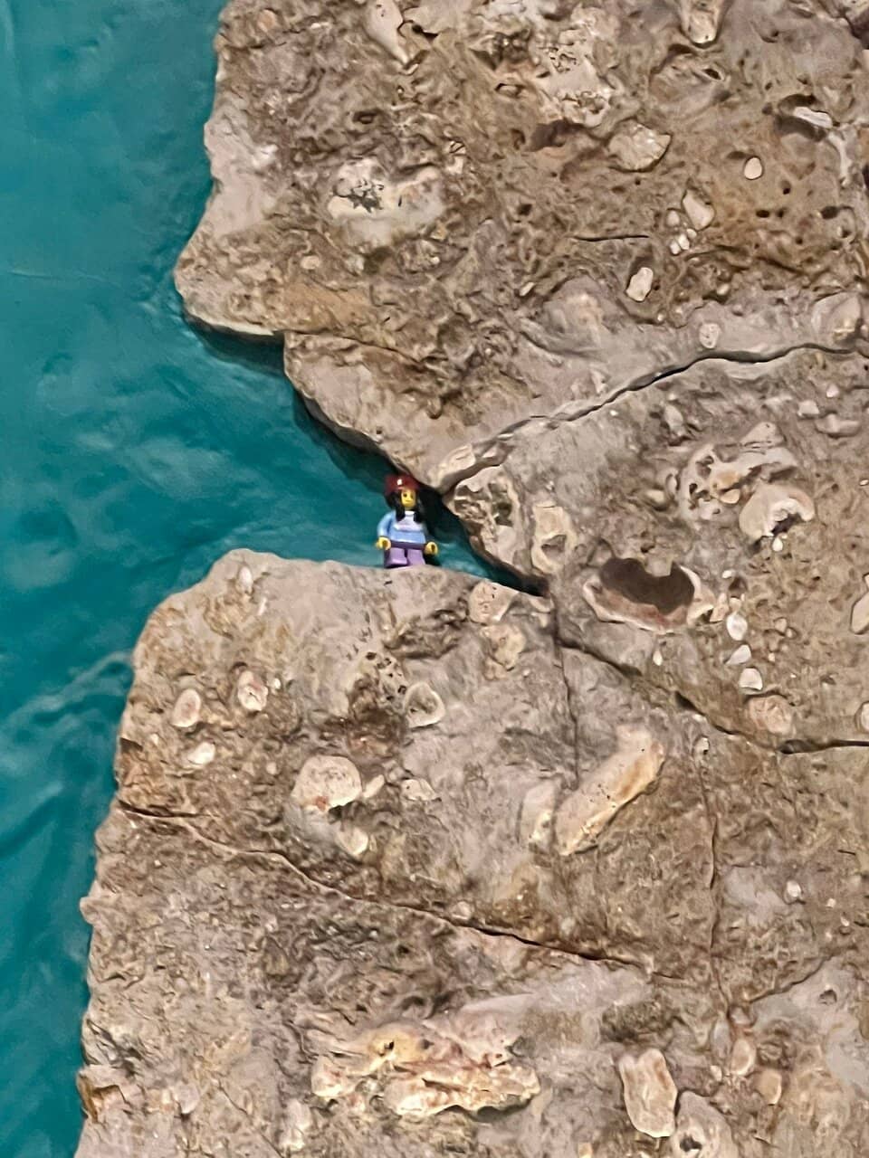 Indigenous Art Collection