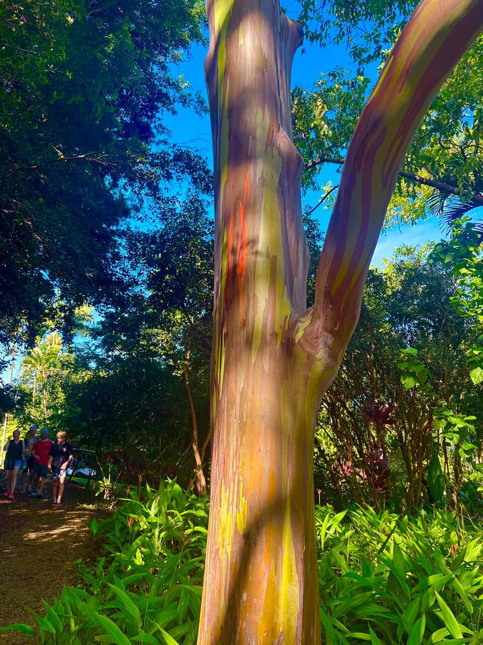 Waiʻānapanapa State Park