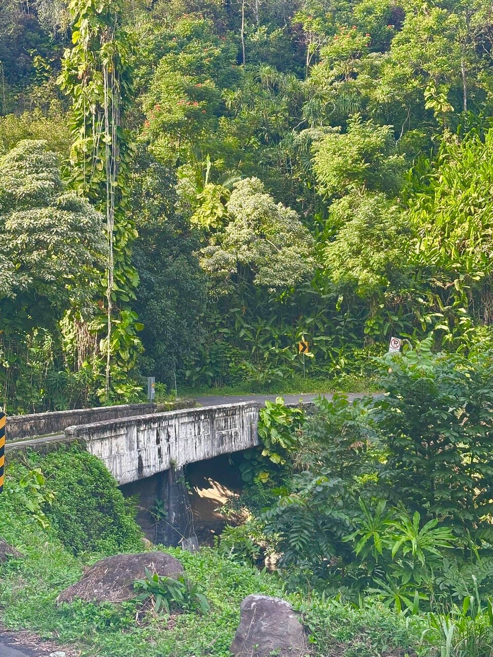 Pipiwai Trail