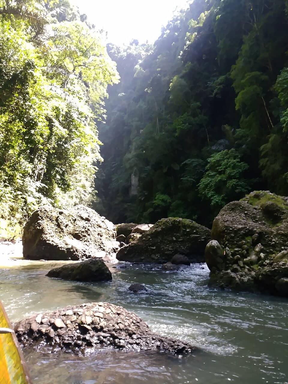 Vertical photo