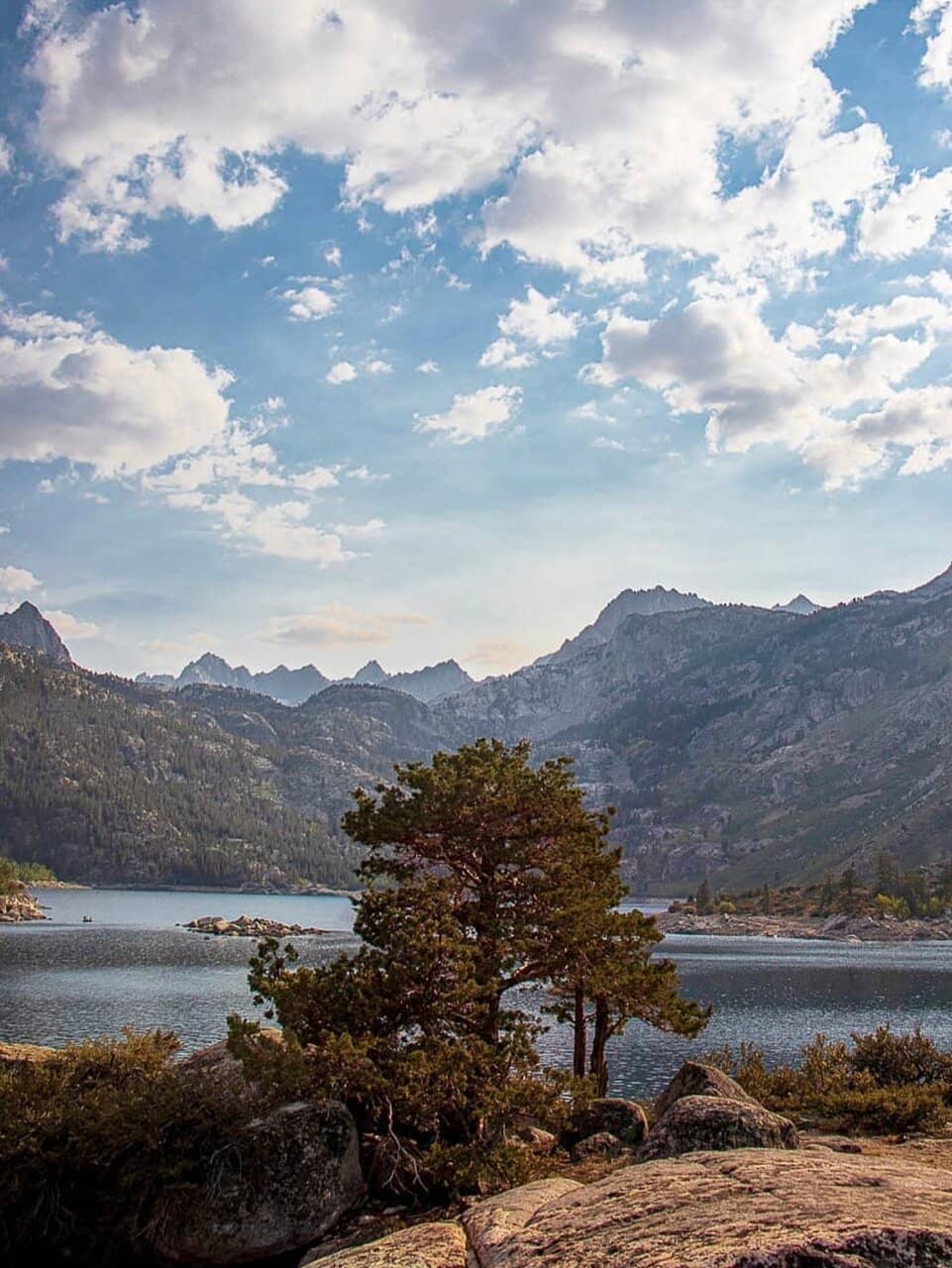 Rainbow Trout Fishing