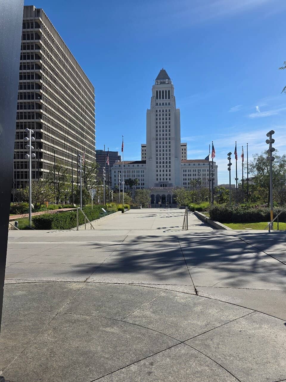 Limited Edition Footwear