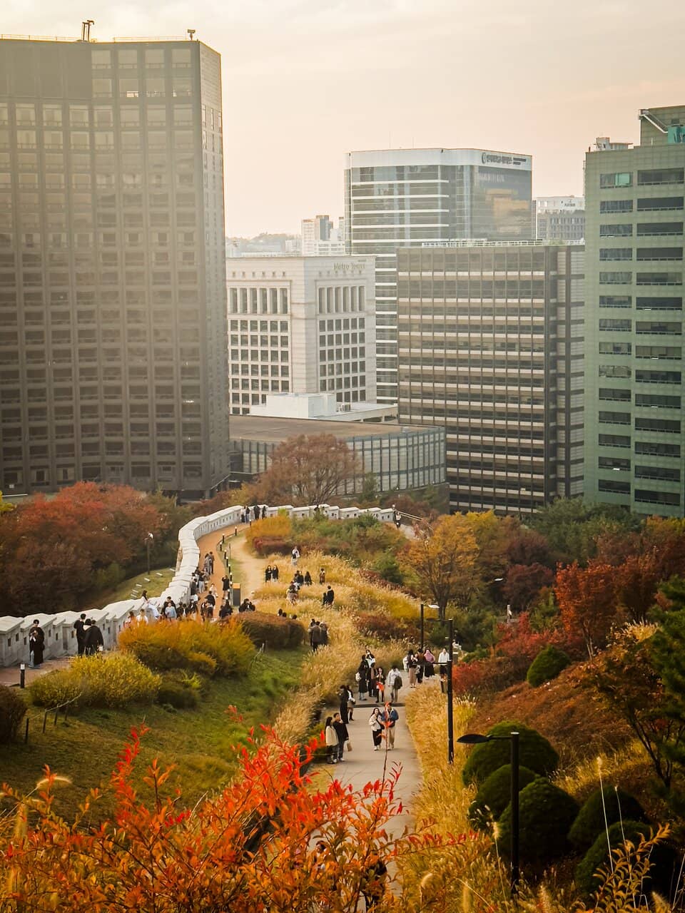 Autumn Foliage Spectacle