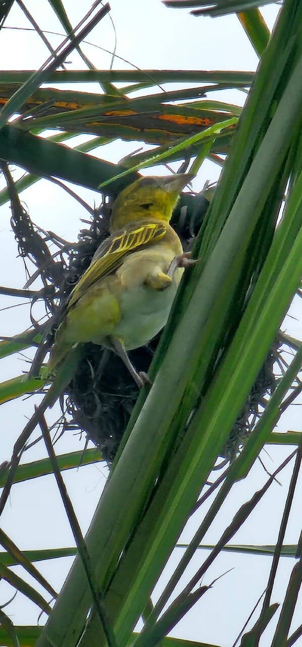 Historical Memorabilia