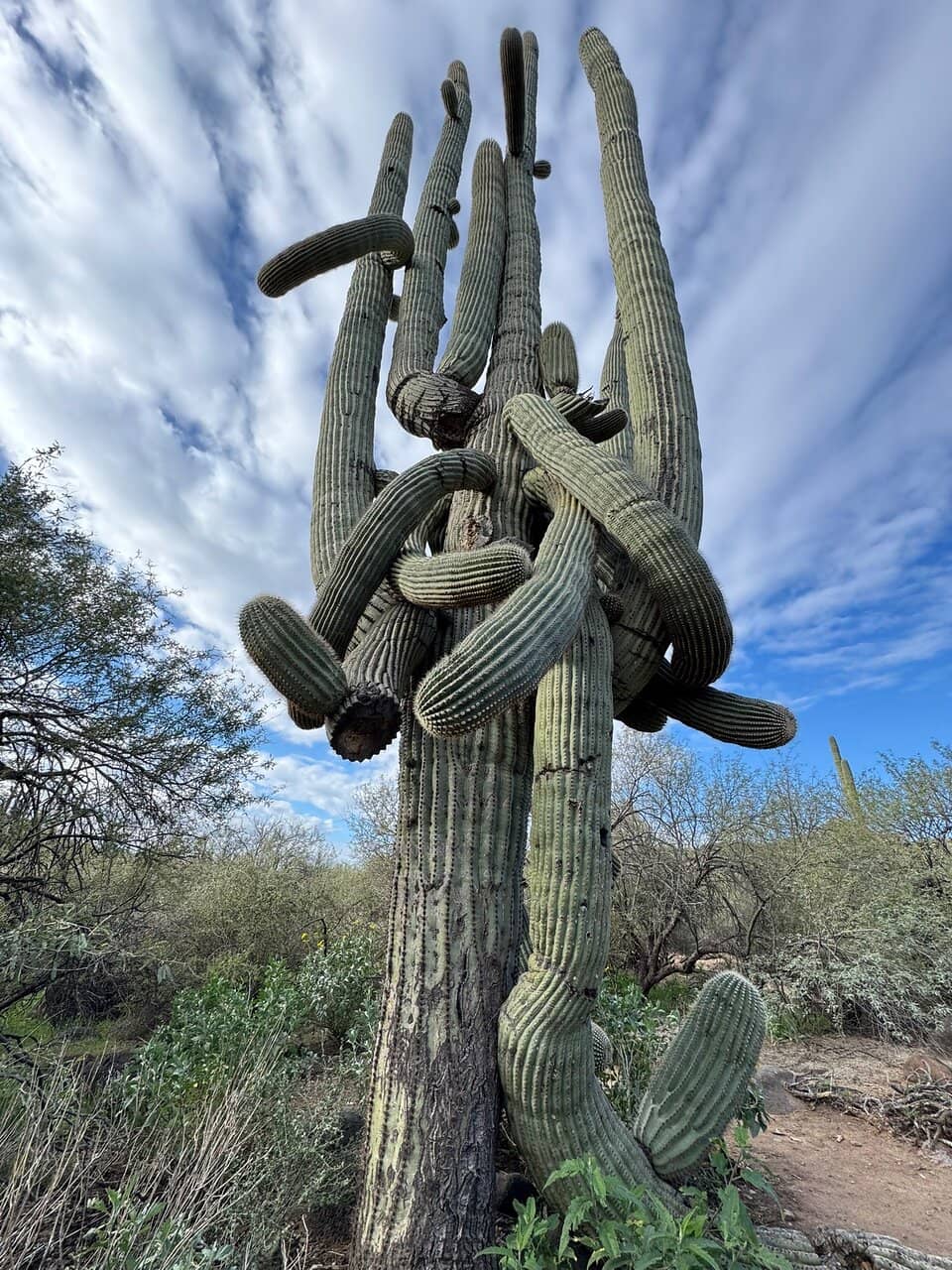 Proximity to Cave Creek Town