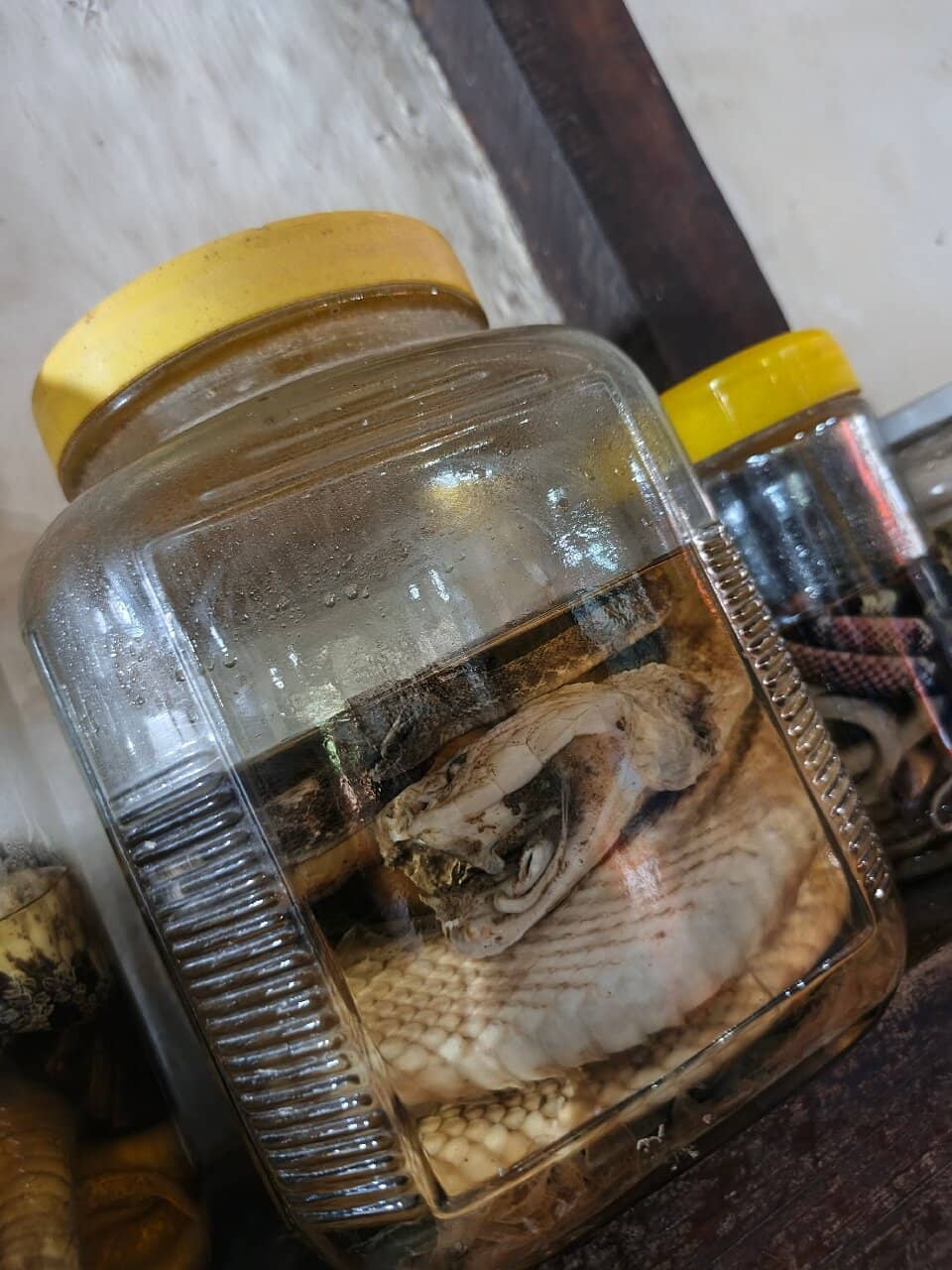 Nature Trails & Birdwatching