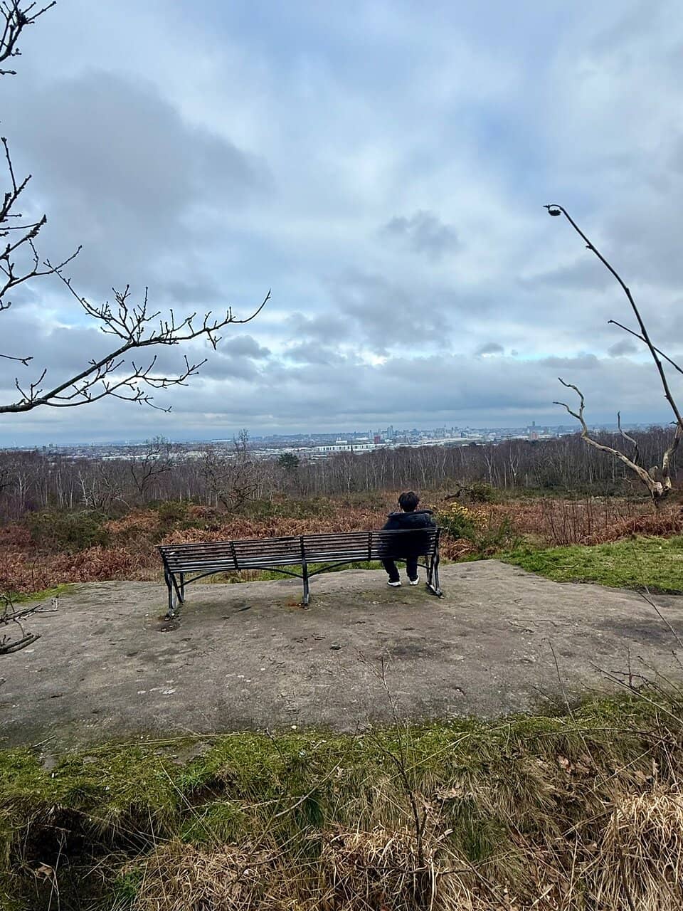 Panoramic Views