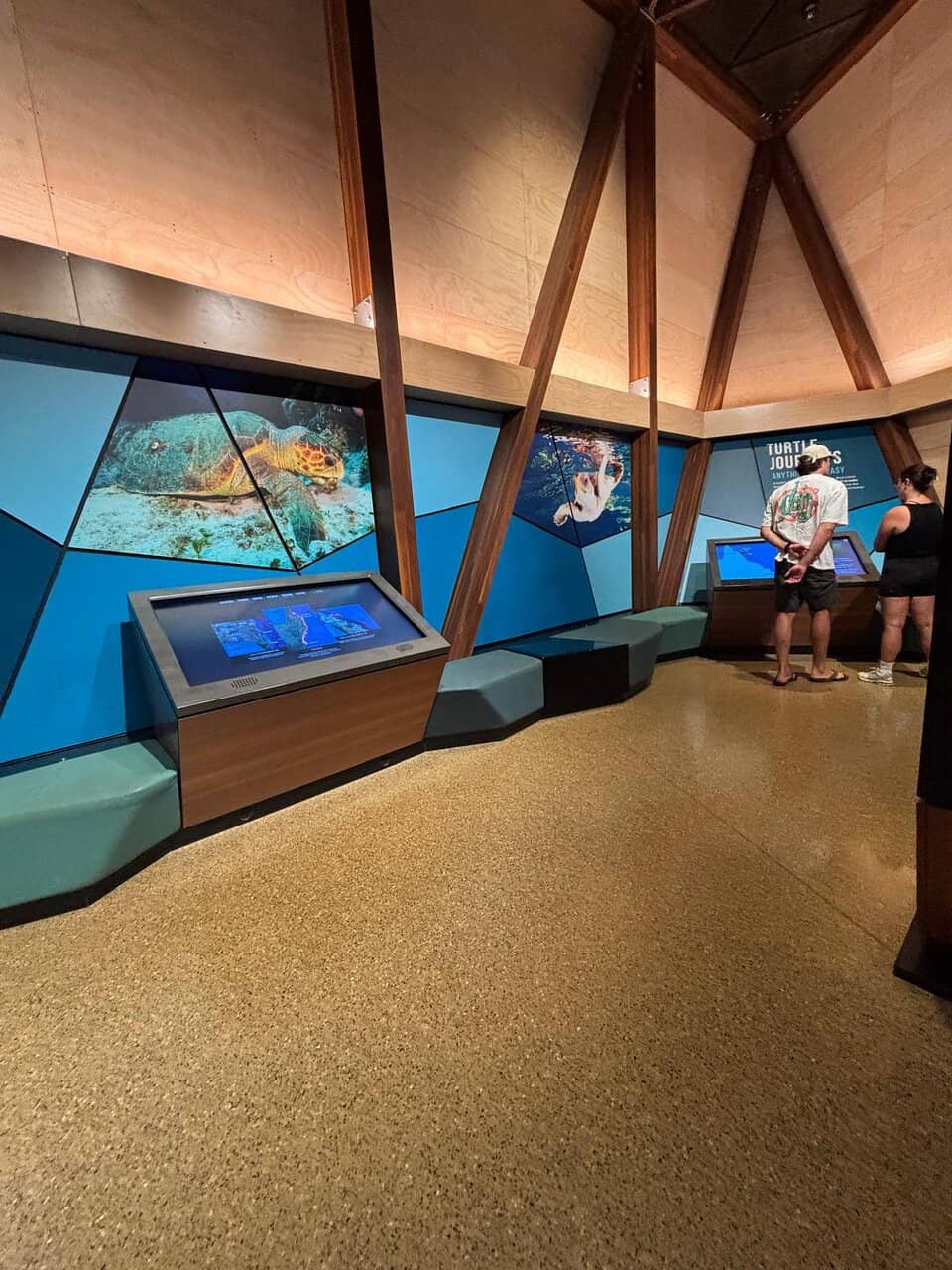 Covent Garden Turtle Hub