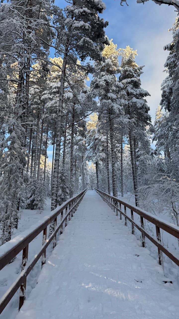 Panoramic Arctic Views