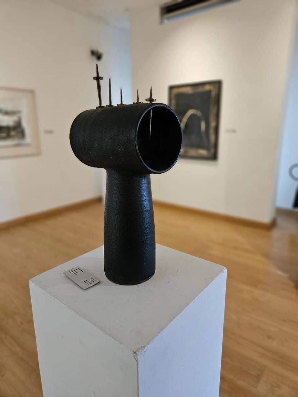 Tranquil Garden Ambiance