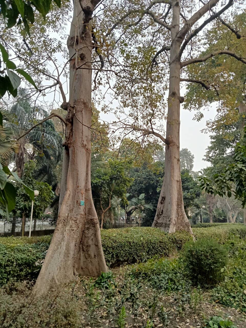 Botanical Gardens