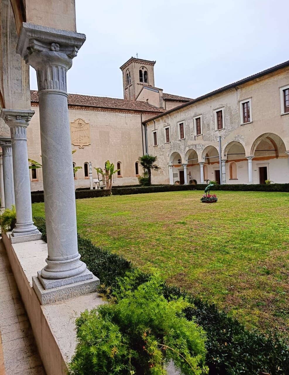 Olive Groves and Lake Views