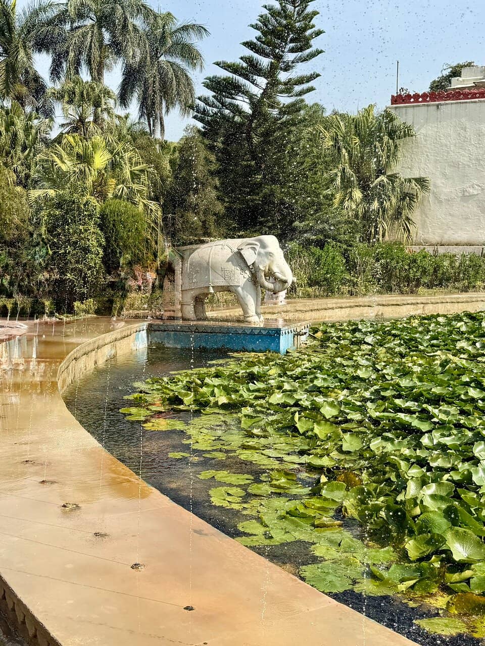 The Enchanting Fountains