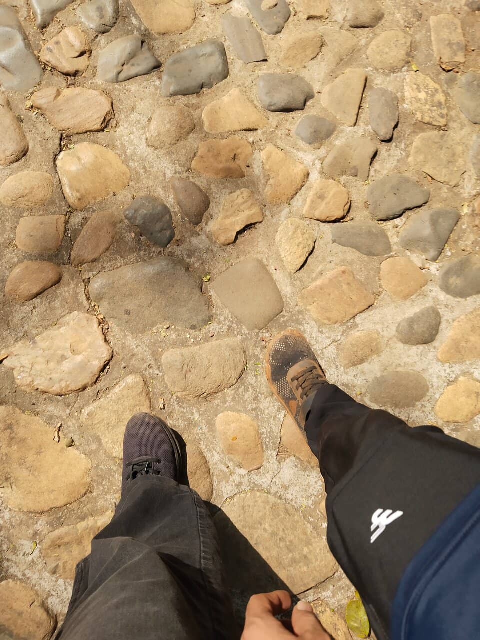 Vertical photo