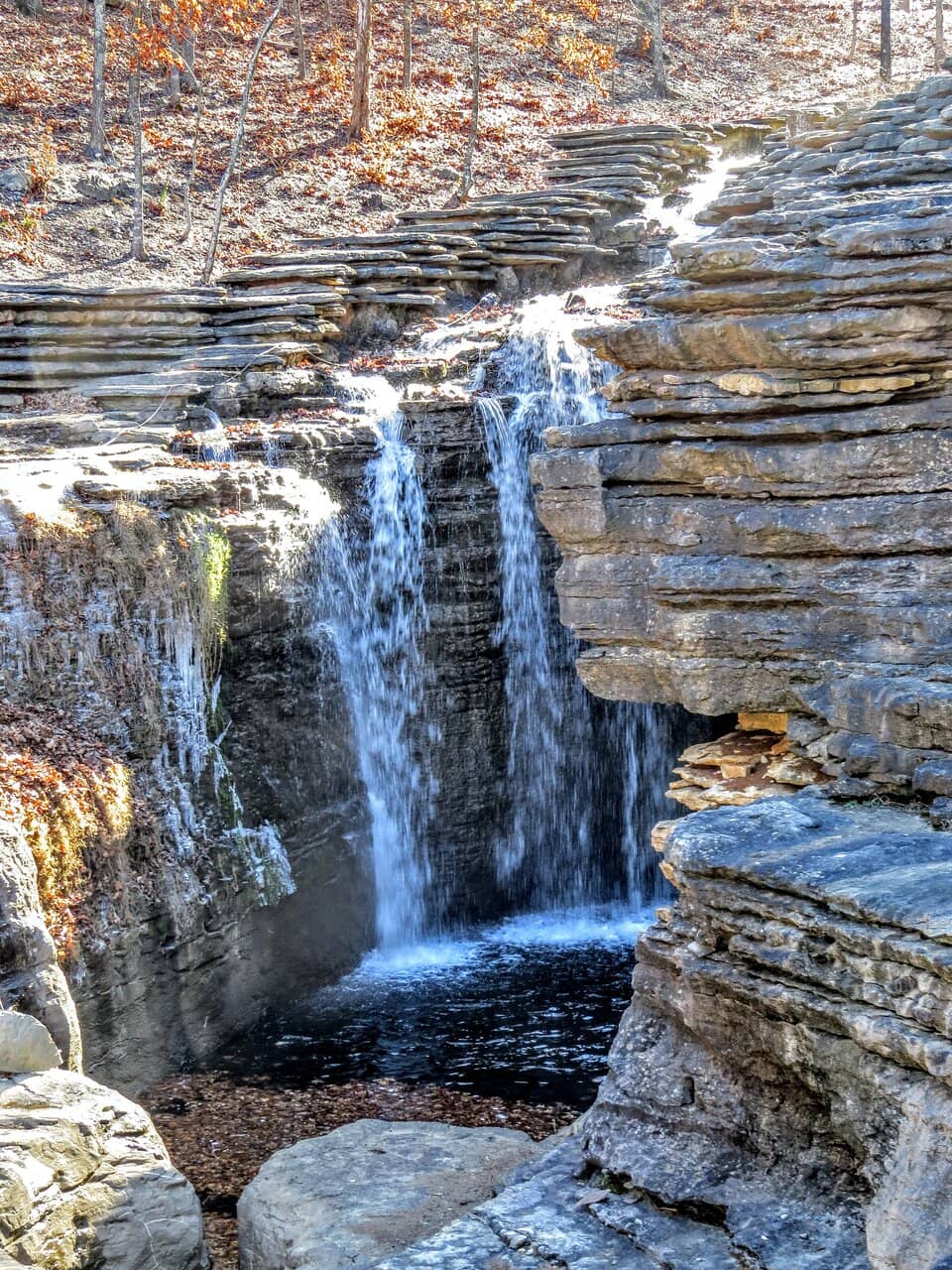 Ancient Ozarks Natural History Museum