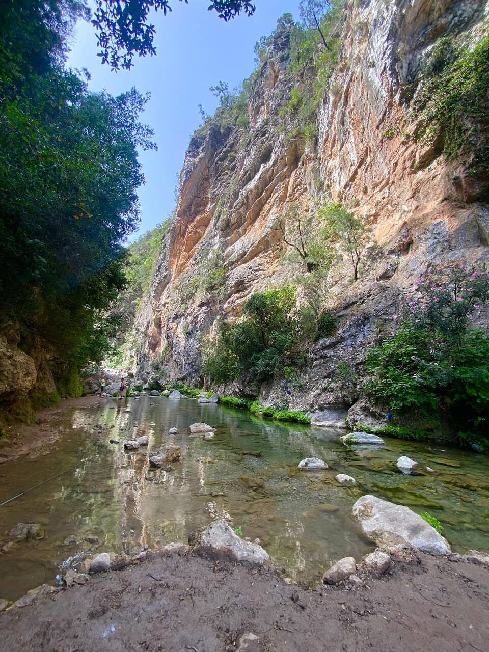 The Valley Trail