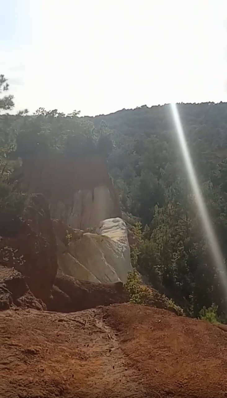 Highlights