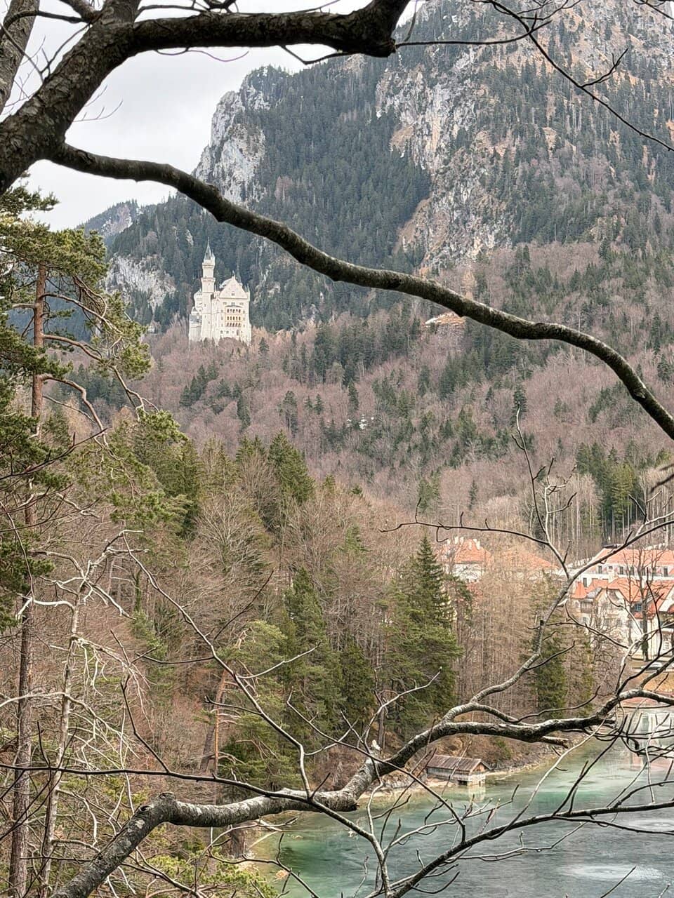 Vertical photo