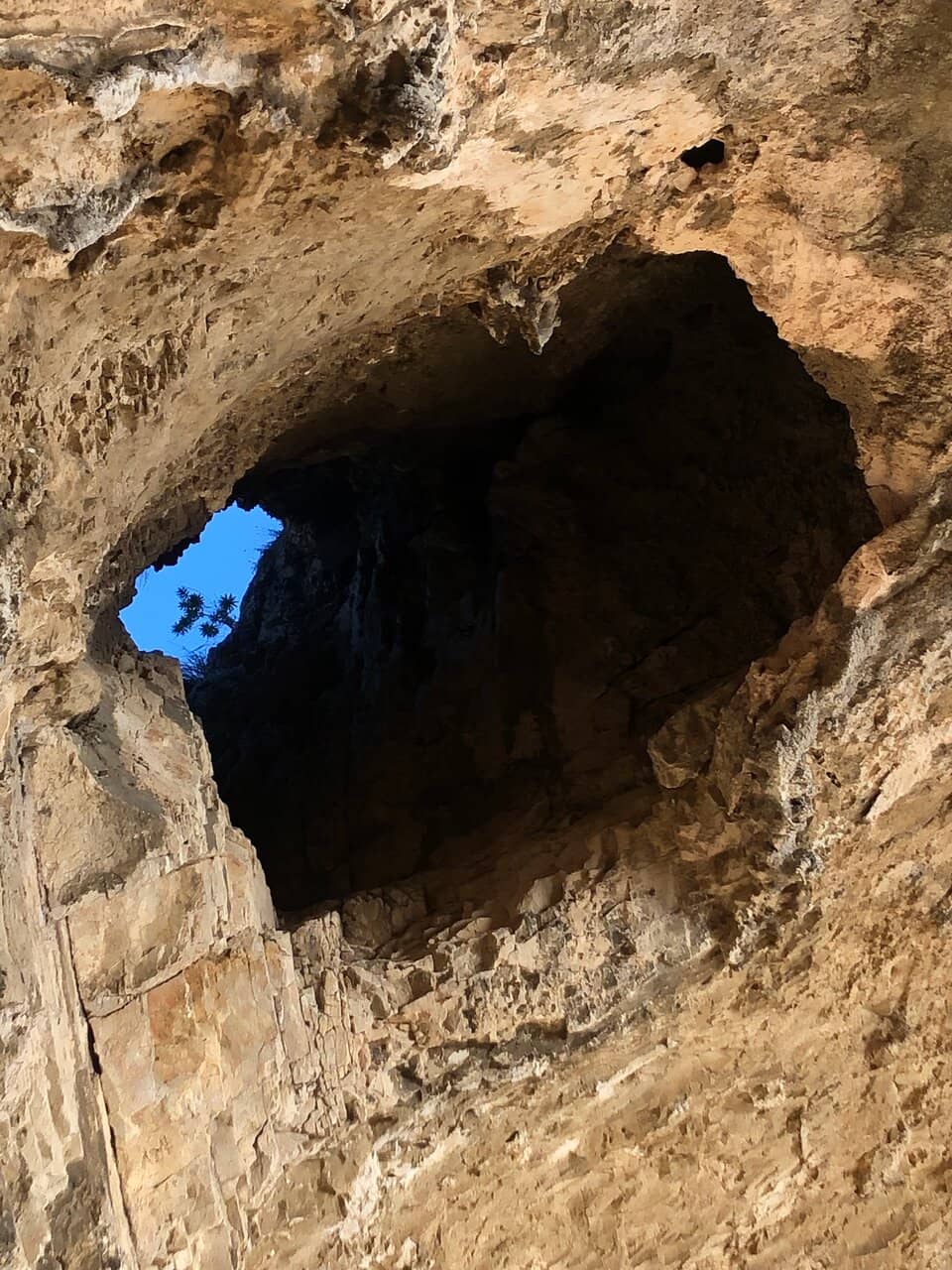 Vertical photo