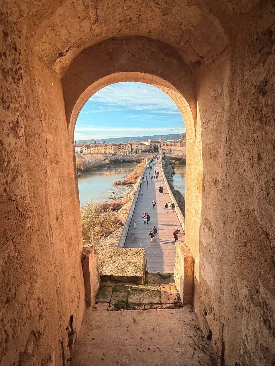 Vertical photo