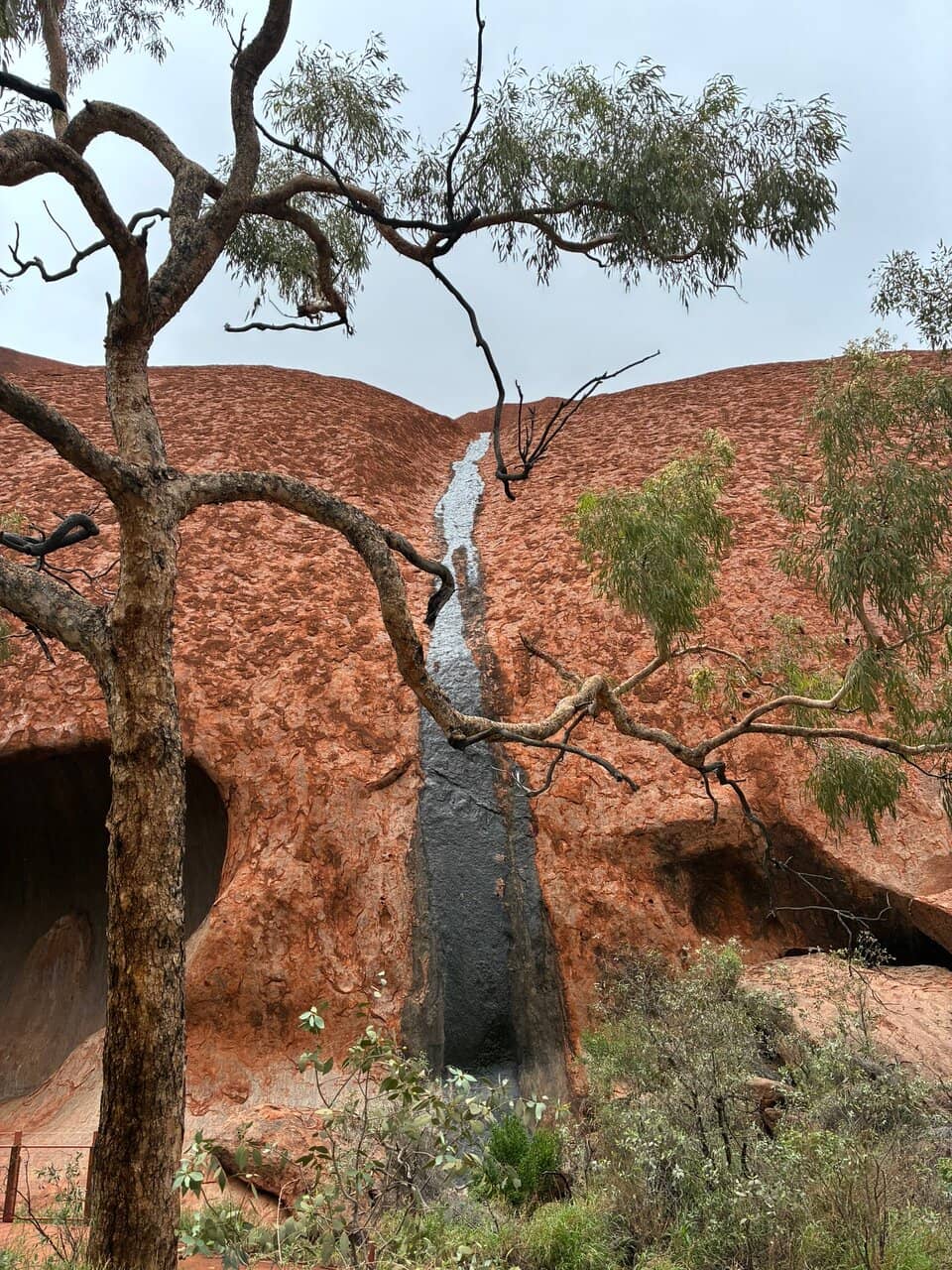 Kata Tjuta (The Olgas)