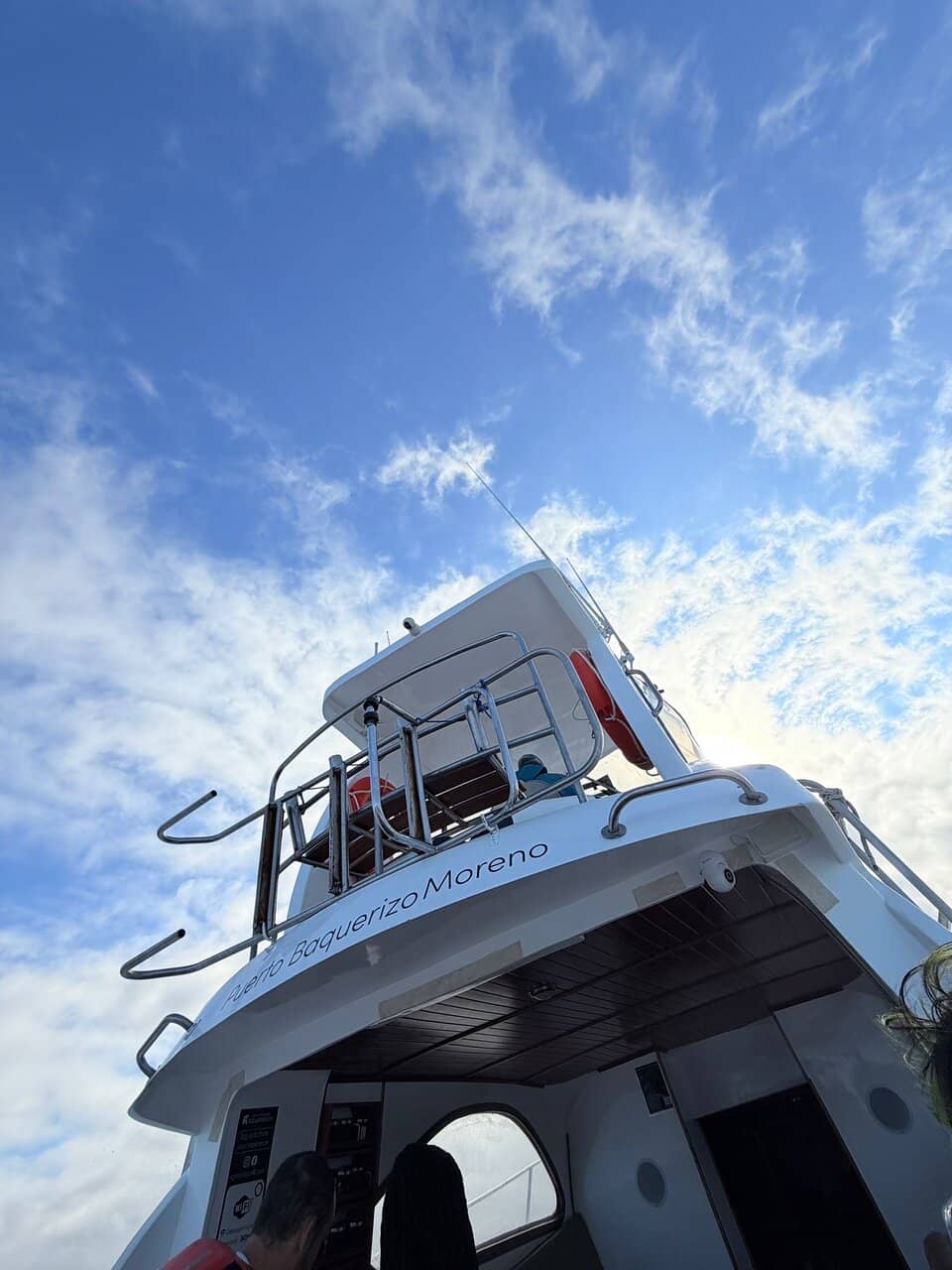 Marine Life Encounters