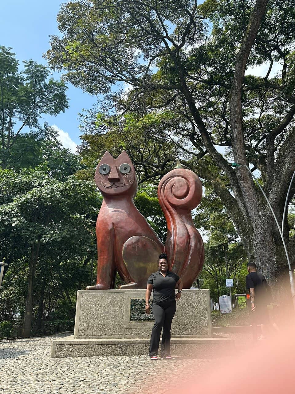 The Cat's Girlfriends