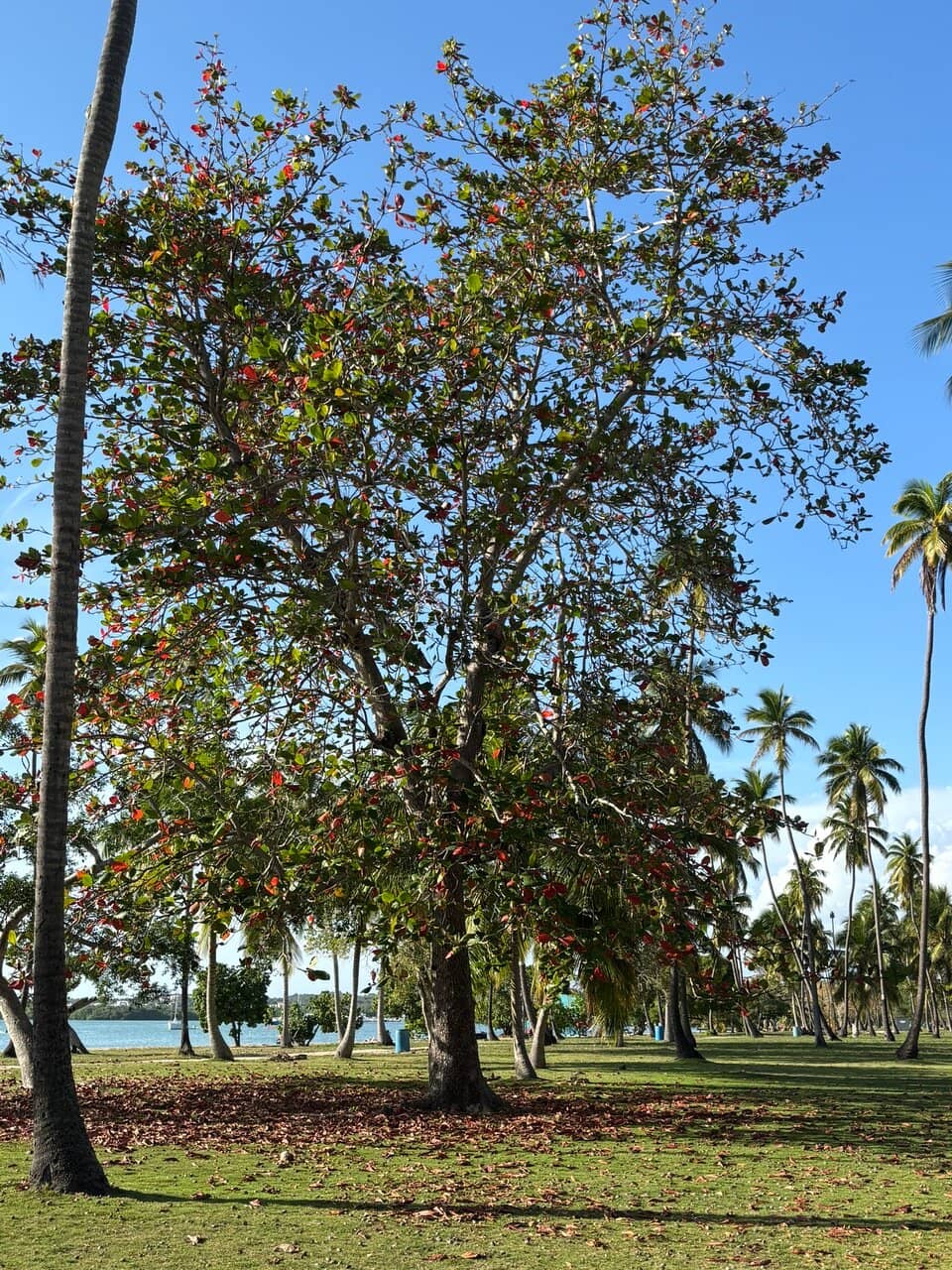 Mountain Biking Adventures