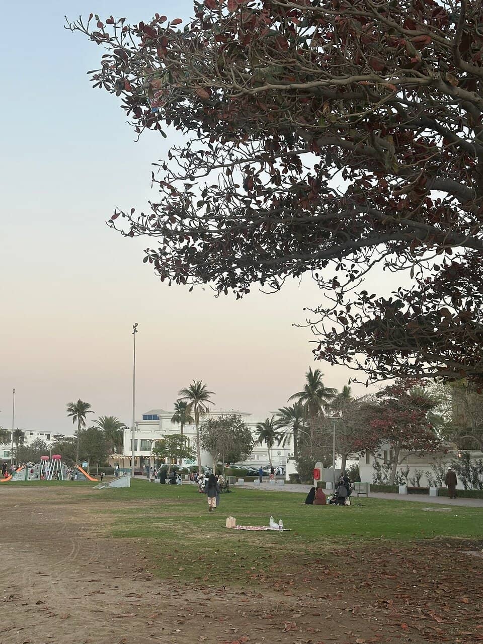 The Pristine Beach