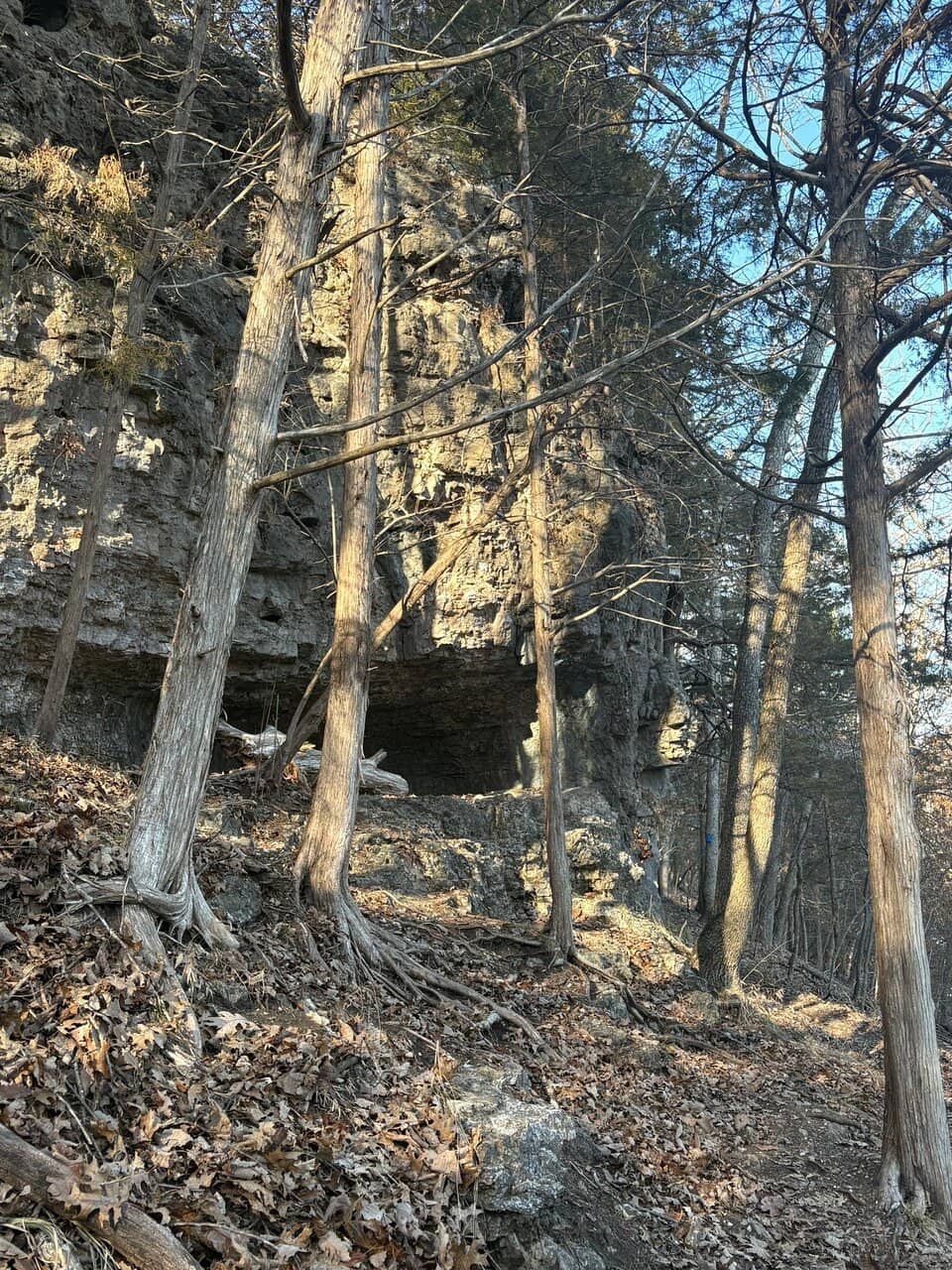Vertical photo
