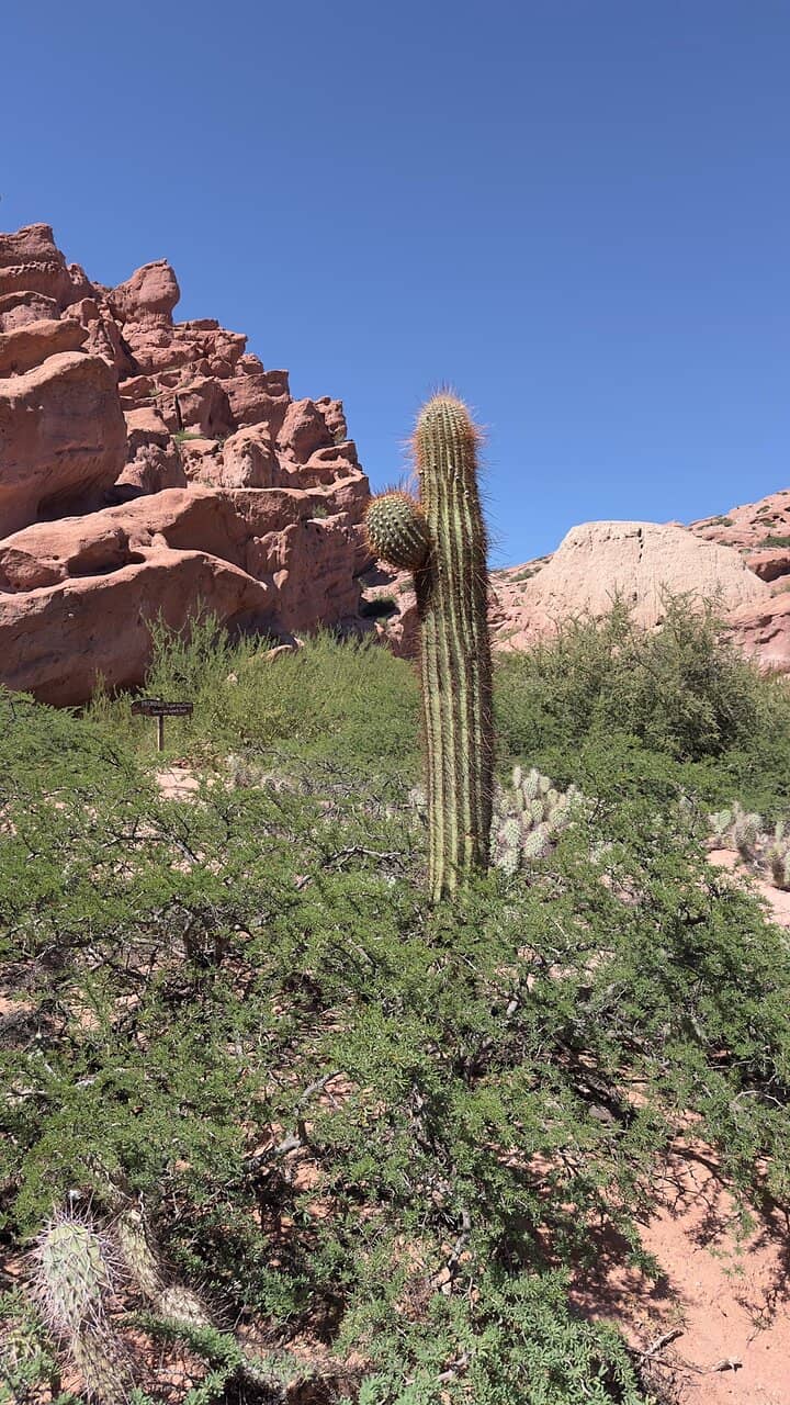 Garganta del Diablo