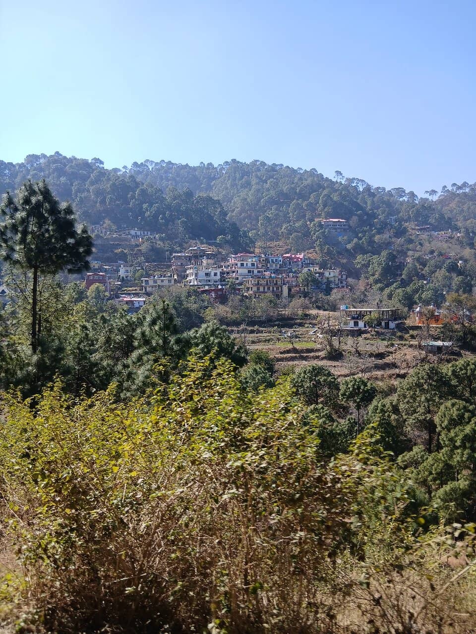 Vertical photo