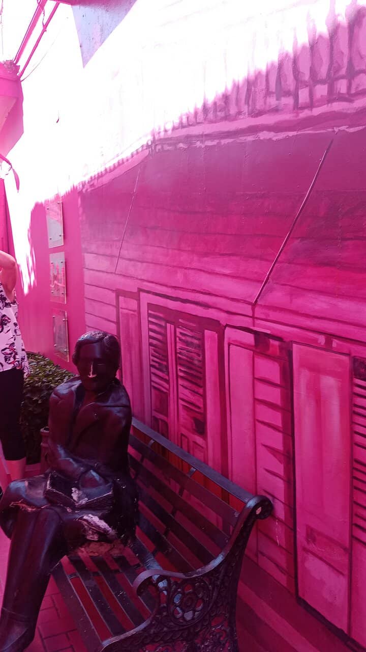 Photo Opportunities Galore