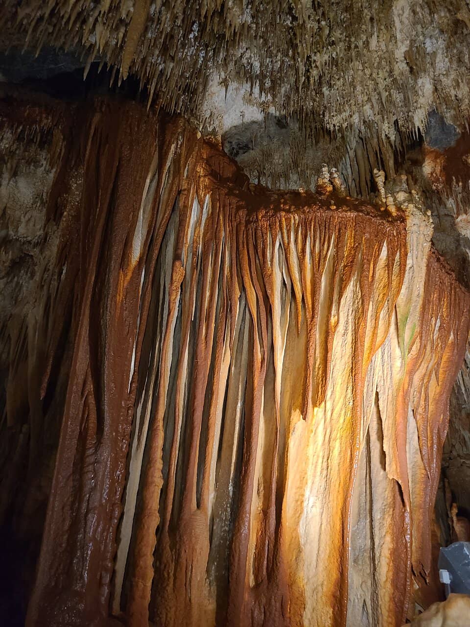 Expert Guided Tours