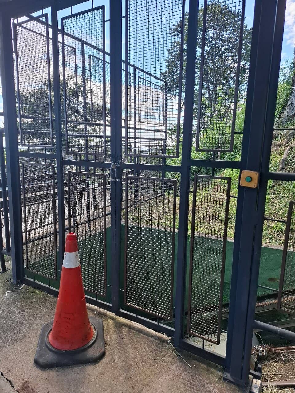 Vertical photo