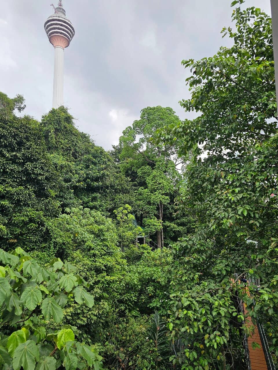 Vertical photo